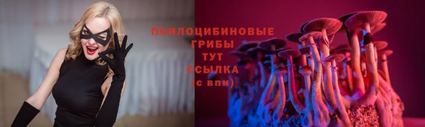 ALPHA-PVP Алексин