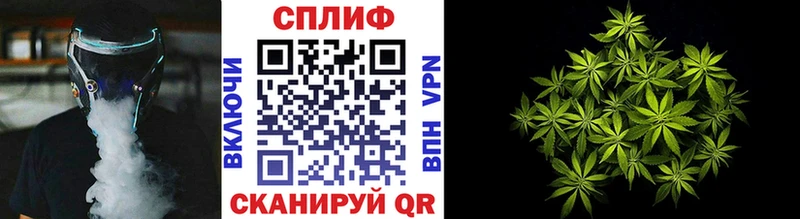 закладка  Дорогобуж  Бошки Шишки план 